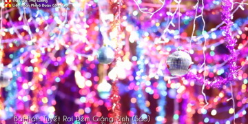 TUYẾT RƠI ĐÊM GIÁNG SINH – SÁO