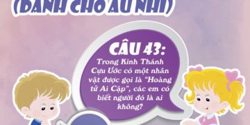 CÂU 43