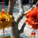 CẦU HOA TRANG TRÍ TẾT
