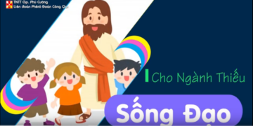Sống đạo Ngành Thiếu