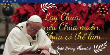NHỮNG LỜI NGUYỆN NGẮN CỦA ĐỨC GIÁO HOÀNG PHANXICO