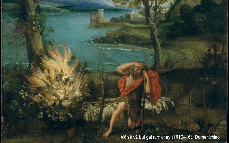 ƠN GỌI TRONG KINH THÁNH