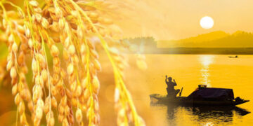 LÚA CHÍN CÚI ĐẦU, SÔNG SÂU TĨNH LẶNG