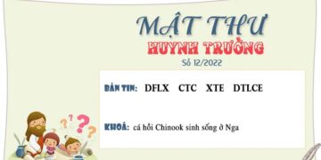 MẬT THƯ SỐ 12/2022 – DÀNH CHO HUYNH TRƯỞNG