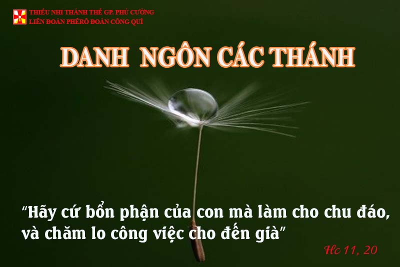 DANH NGÔN CÁC THÁNH