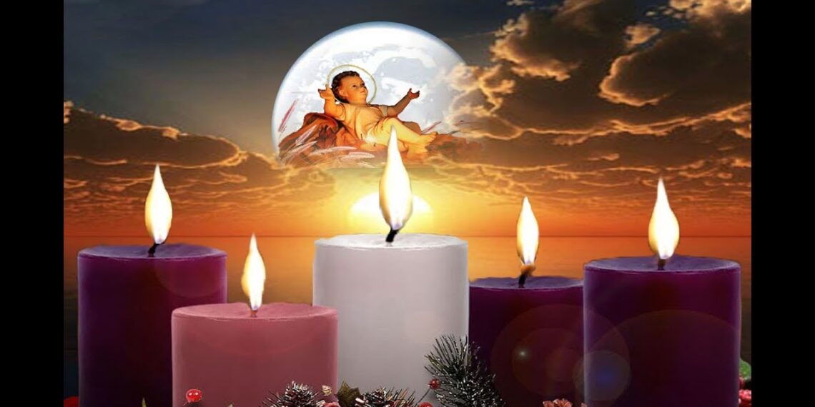 HÂN HOAN MONG CHỜ: TRONG MÙA VỌNG, HÃY CHỦ TÂM TRÔNG ĐỢI