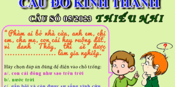 CÂU SỐ 05/2023 – DÀNH CHO THIẾU NHI