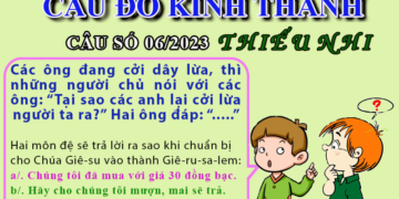 CÂU SỐ 06/2023 – DÀNH CHO THIẾU NHI