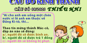 CÂU SỐ 08/2023 – DÀNH CHO THIẾU NHI