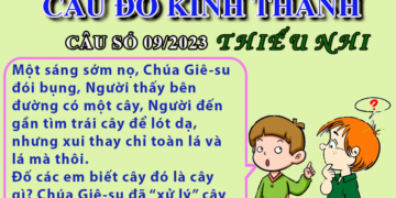 CÂU SỐ 09/2023 – DÀNH CHO THIẾU NHI