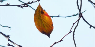 NGƯỜI NGOẠI ĐẠO CHẾT, LINH HỒN SẼ ĐI ĐÂU?