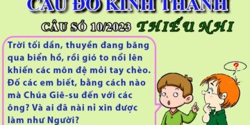 CÂU SỐ 10/2023 – DÀNH CHO THIẾU NHI