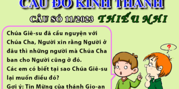 CÂU SỐ 11/2023 – DÀNH CHO THIẾU NHI