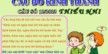 CÂU SỐ 12/2023 – DÀNH CHO THIẾU NHI