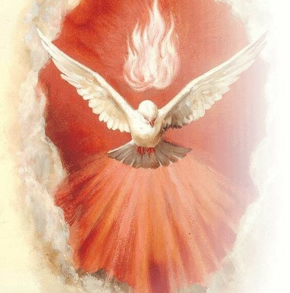 ĐỂ LỚN LÊN TRONG SỰ THÁNH THIỆN