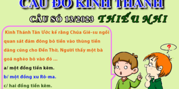 CÂU SỐ 13/2023 – DÀNH CHO THIẾU NHI