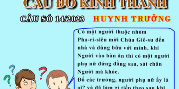 CÂU SỐ 14/2023 – DÀNH CHO HUYNH TRƯỞNG