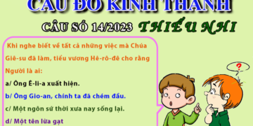 CÂU SỐ 14/2023 – DÀNH CHO THIẾU NHI