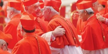 ĐÂU LÀ VAI TRÒ CỦA MỘT HỒNG Y?