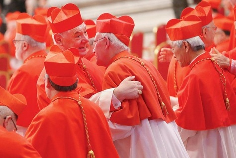 ĐÂU LÀ VAI TRÒ CỦA MỘT HỒNG Y?