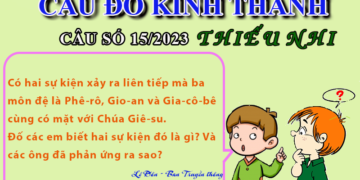 CÂU SỐ 15/2023 – DÀNH CHO THIẾU NHI