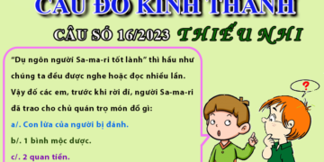 CÂU SỐ 16/2023 – DÀNH CHO THIẾU NHI
