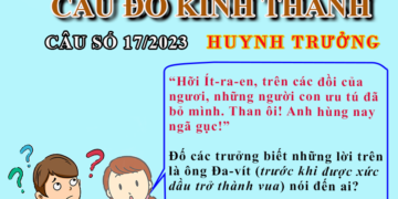 CÂU SỐ 17/2023 – DÀNH CHO HUYNH TRƯỞNG