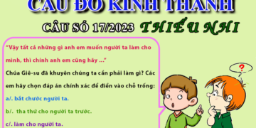 CÂU SỐ 17/2023 – DÀNH CHO THIẾU NHI