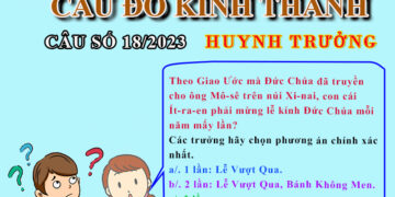 CÂU SỐ 18/2023 – DÀNH CHO HUYNH TRƯỞNG