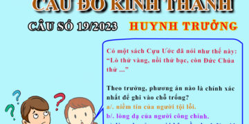 CÂU SỐ 19/2023 – DÀNH CHO HUYNH TRƯỞNG