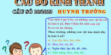 CÂU SỐ 20/2023 – DÀNH CHO HUYNH TRƯỞNG