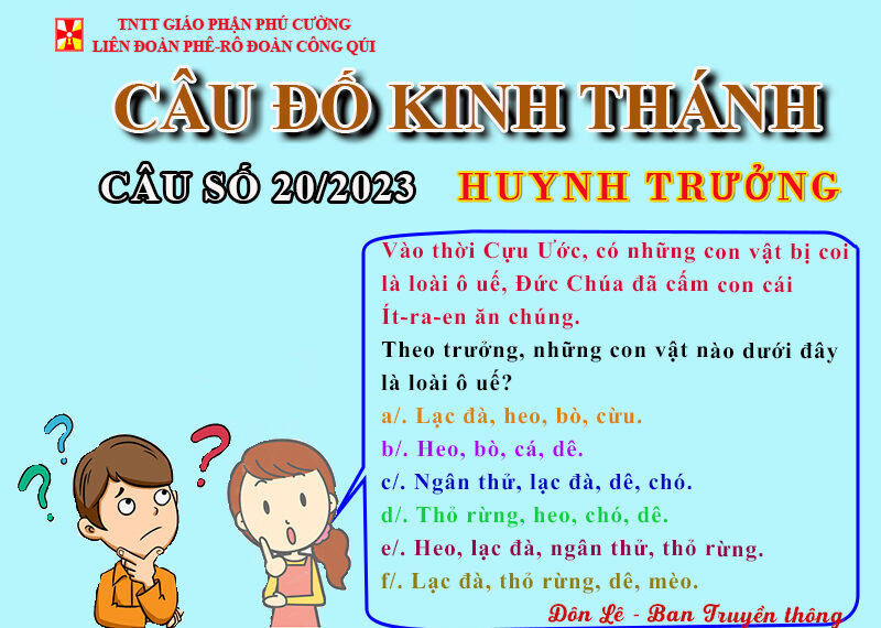 CÂU SỐ 20/2023 – DÀNH CHO HUYNH TRƯỞNG