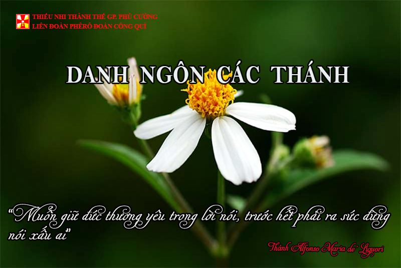 DANH NGÔN CÁC THÁNH