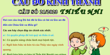 CÂU SỐ 21/2023 – DÀNH CHO THIẾU NHI