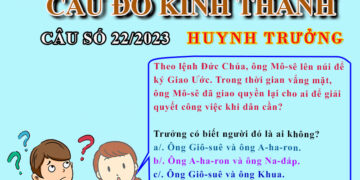 CÂU SỐ 22/2023 – DÀNH CHO HUYNH TRƯỞNG