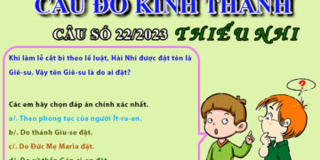 CÂU SỐ 22/2023 – DÀNH CHO THIẾU NHI