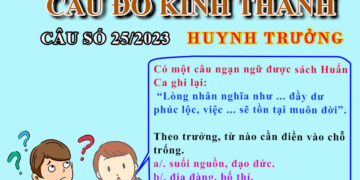 CÂU SỐ 25/2023 – DÀNH CHO HUYNH TRƯỞNG