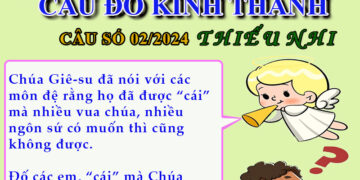 CÂU SỐ 02/2024 – DÀNH CHO THIẾU NHI
