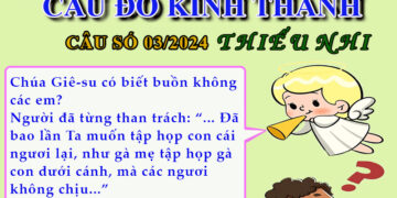 CÂU SỐ 03/2024 – DÀNH CHO THIẾU NHI