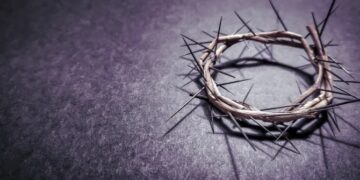 MƯỜI CÁCH ĐỂ CANH TÂN ĐỜI SỐNG TRONG MÙA CHAY