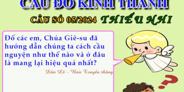 CÂU SỐ 05/2024 – DÀNH CHO THIẾU NHI