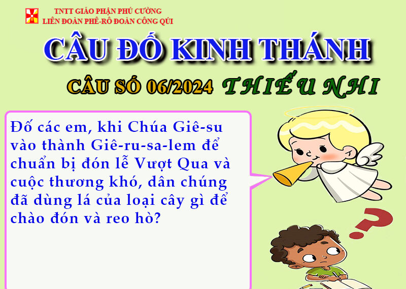 CÂU SỐ 06/2024 – DÀNH CHO THIẾU NHI