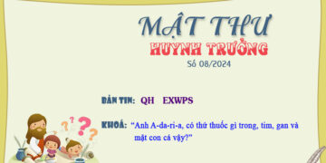MẬT THƯ SỐ 08/2024 – DÀNH CHO HUYNH TRƯỞNG