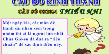 CÂU SỐ 08/2024 – DÀNH CHO THIẾU NHI
