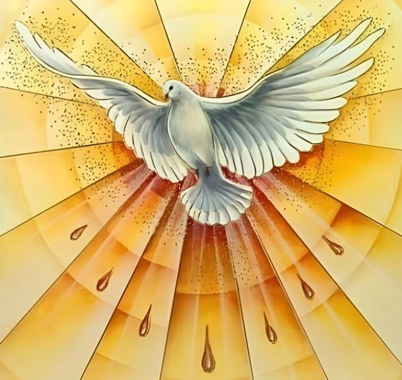 CHÍN BIỂU TƯỢNG GIÁO HỘI DÙNG ĐỂ CHỈ CHÚA THÁNH THẦN