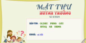 MẬT THƯ SỐ 11/2024 – DÀNH CHO HUYNH TRƯỞNG