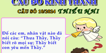 CÂU SỐ 10/2024 – DÀNH CHO THIẾU NHI