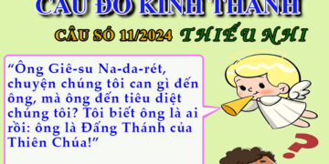 CÂU SỐ 11/2024 – DÀNH CHO THIẾU NHI