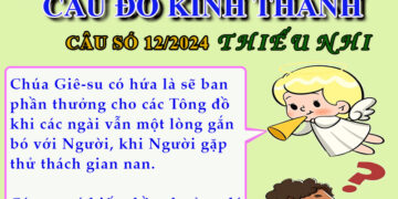 CÂU SỐ 12/2024 – DÀNH CHO THIẾU NHI