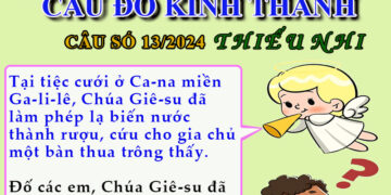 CÂU SỐ 13/2024 – DÀNH CHO THIẾU NHI